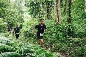 BIB: 
                            <button type="button" onclick="openModal(26371923)" class="btn btn-primary btn-sm float-right btn-popup" data-toggle="modal" data-target=".modal-high-quality">
                        <i class="fas fa-shopping-cart"></i> Add to Cart
                    </button>
                                            <button type="button" onclick="isThisMe(26371923, true)" class="btn btn-success btn-sm float-right btn-popup btn-isme hidden" data-toggle="tooltip" data-placement="bottom" title="นี่คือรูปของคุณใช่ไหม คลิกที่นี่เพื่อเอาเข้าอัลบั้ม">
                        <i class="fas fa-plus"></i> Add to album
                    </button>
                    <button type="button" onclick="isThisMe(26371923, false)" class="btn btn-warning btn-sm float-right btn-popup btn-isnotme hidden">
                        <i class="fas fa-ban"></i> Remove from album
                    </button>